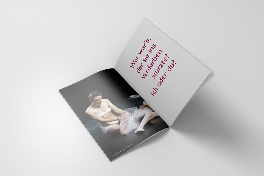 Werbeagentur Landsiedel Müller Flagmeyer, Nordhausen: Mecklenburgisches Staatstheater Schwerin Ballett